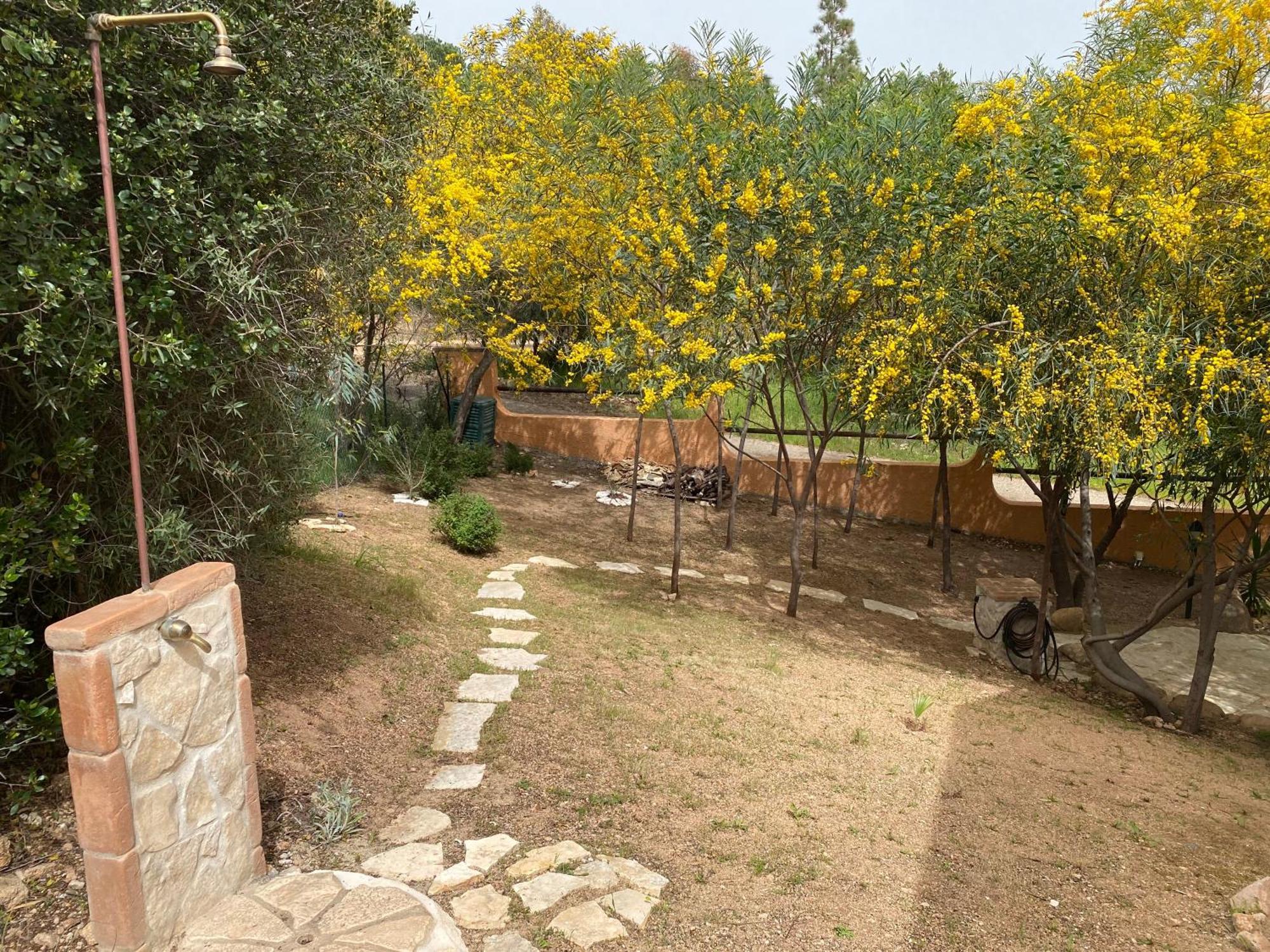 Residenza I Ginepri Villa Domus De Maria Ngoại thất bức ảnh